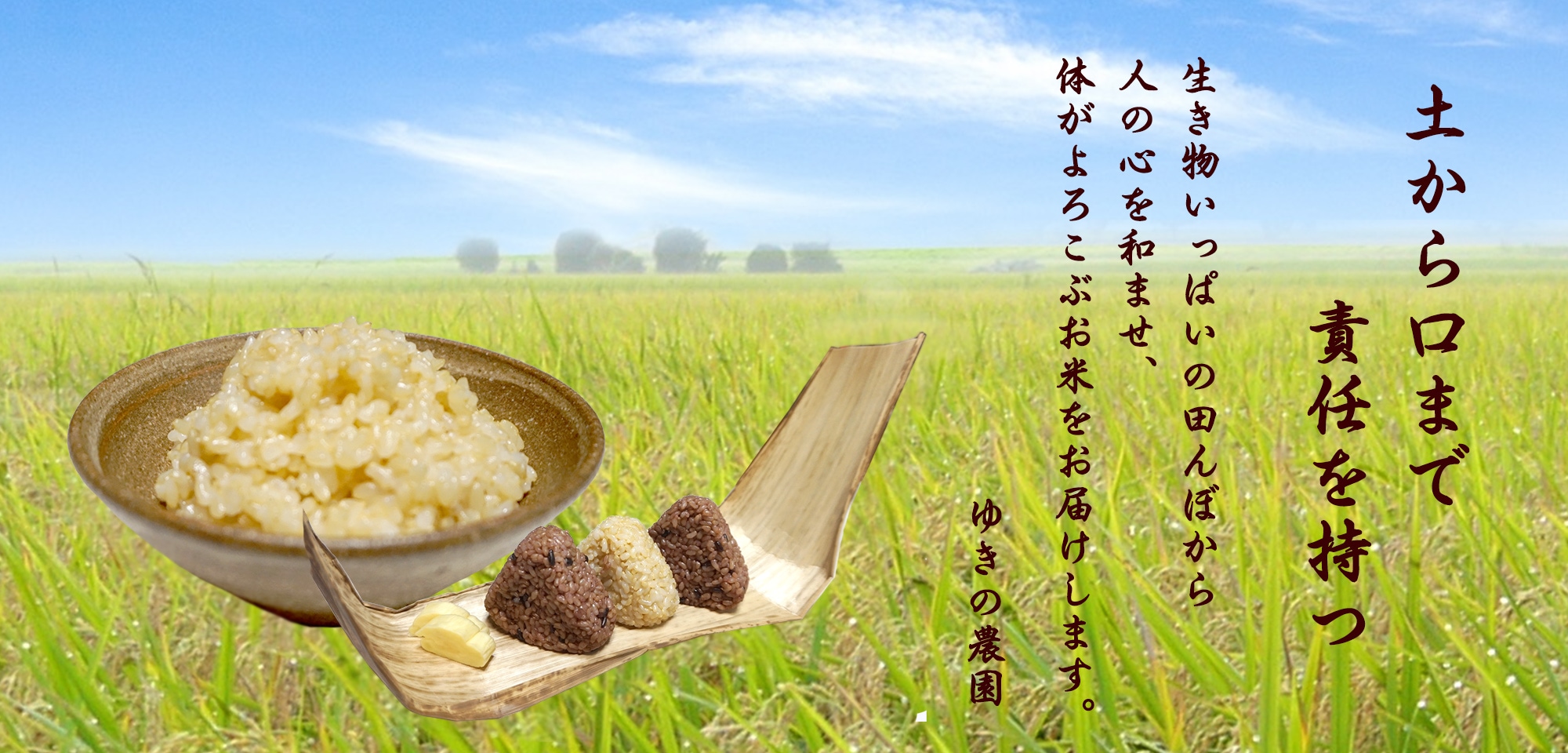 玄米食も安心,無肥料無農薬玄米専門の「ゆきの農園」